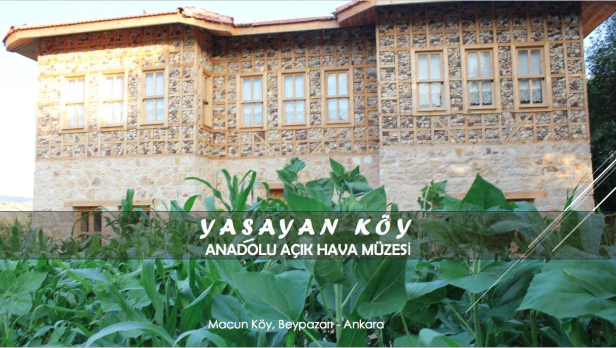 Yasayan Koy 호텔 Kizilcasogut 외부 사진