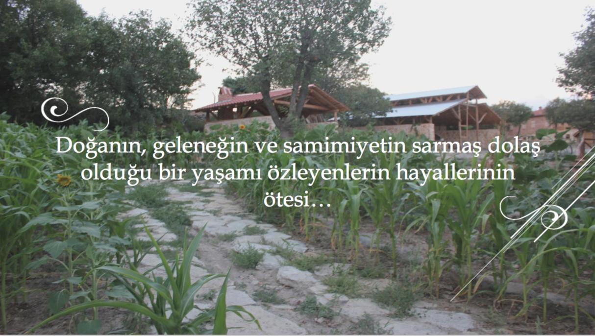 Yasayan Koy 호텔 Kizilcasogut 외부 사진